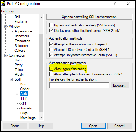 Allow agent forwarding