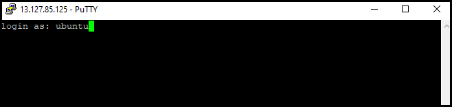 Login as Ubuntu